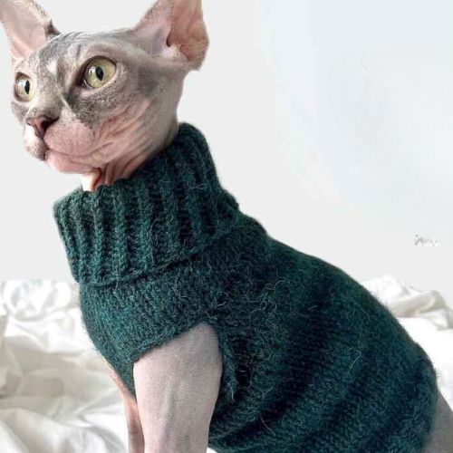 Cat Sweater Knitting Pattern