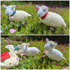 Sheep Knitting Pattern