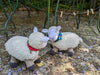 Sheep Knitting Pattern